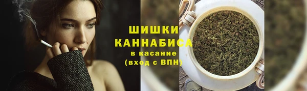 MDMA Новодвинск