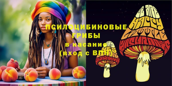 спиды Новокубанск