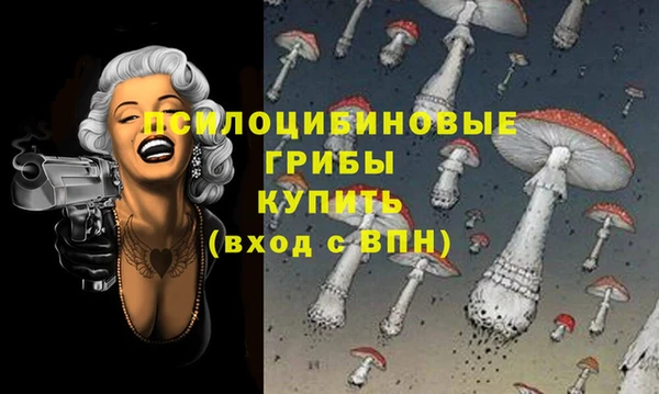 спиды Новокубанск