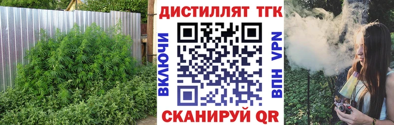 ТГК вейп Купить где Заинск