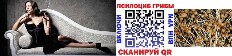 Псилоцибиновые грибы мухоморы  Купить где  Заинск 