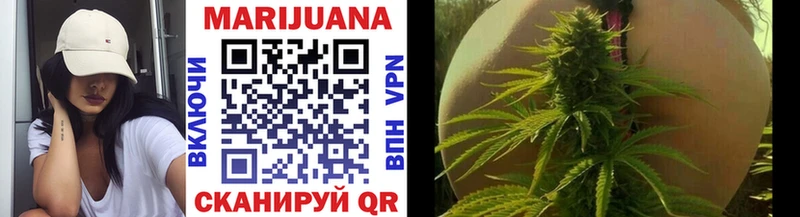 Купить где  Заинск  МАРИХУАНА OG Kush 